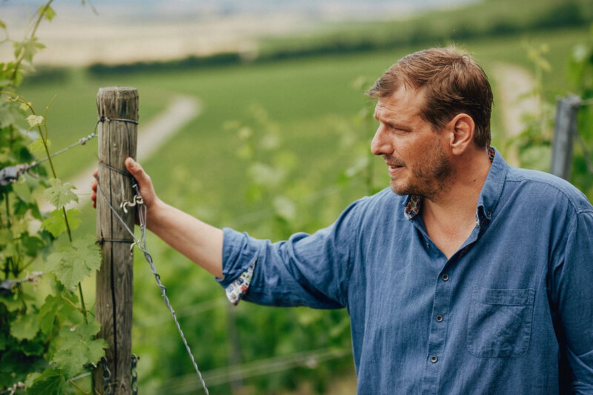 Paul Weltner im Weinberg, Foto: Peter Bender