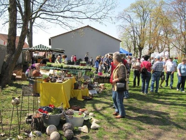 Markt