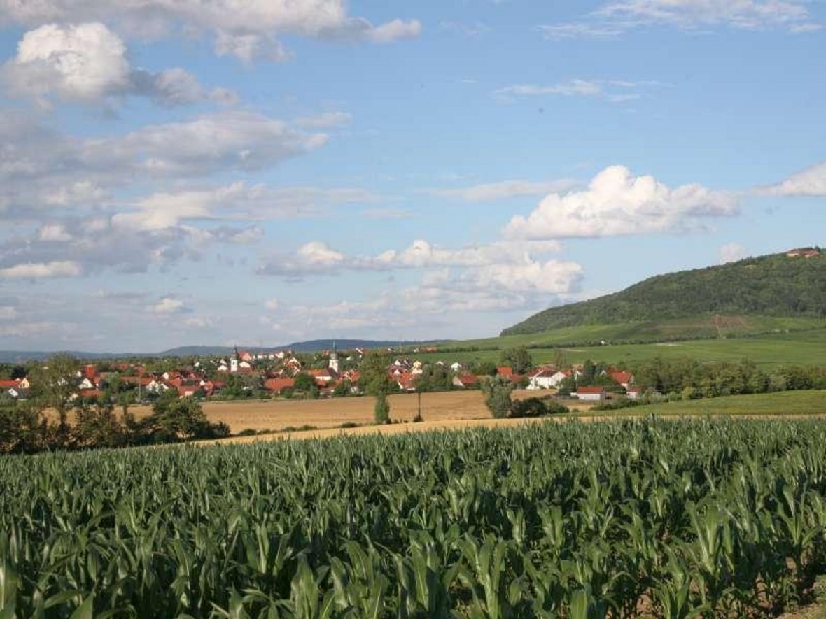 Ansicht auf Rödelsee